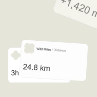 Quentin Hocdé Web components Data Cards Sliders